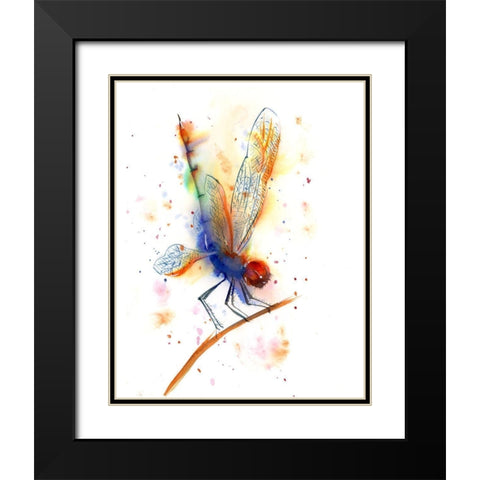 Dragonfly II Black Modern Wood Framed Art Print with Double Matting by Shefranov, Olga