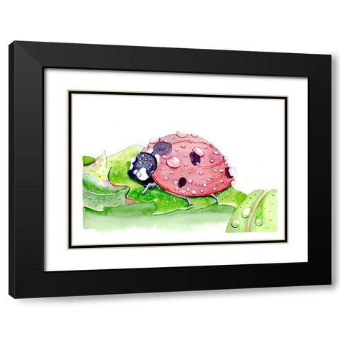 Ladybug Black Modern Wood Framed Art Print with Double Matting by Shefranov, Olga