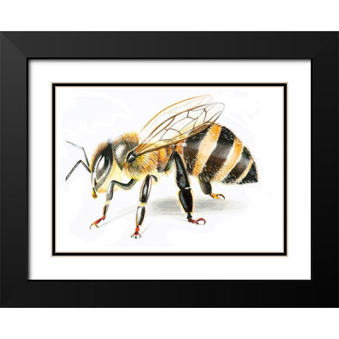 Bee II Black Modern Wood Framed Art Print with Double Matting by Shefranov, Olga