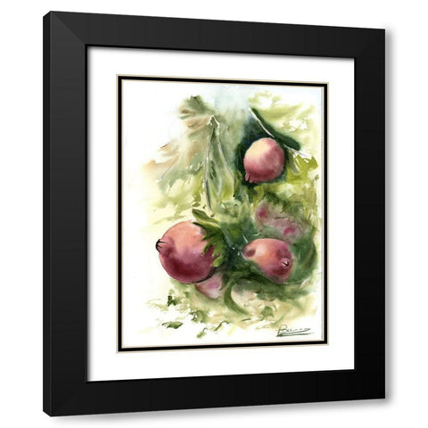 Pomegranate Black Modern Wood Framed Art Print with Double Matting by Shefranov, Olga