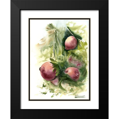 Pomegranate Black Modern Wood Framed Art Print with Double Matting by Shefranov, Olga