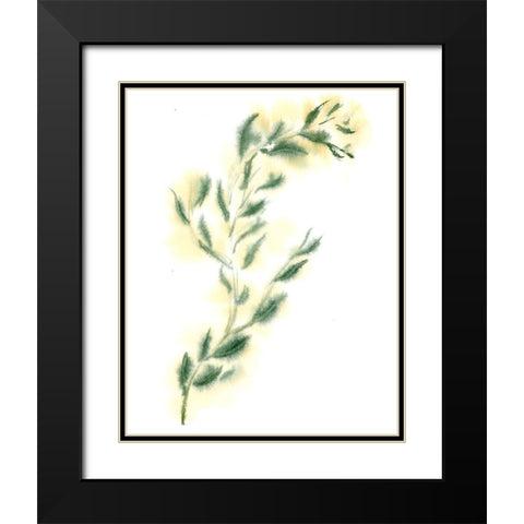 Vine III Black Modern Wood Framed Art Print with Double Matting by Shefranov, Olga