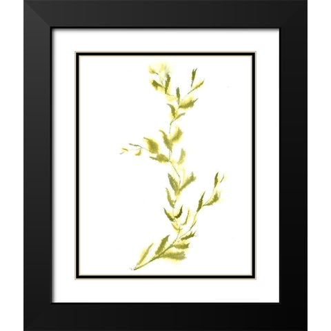 Vine IV Black Modern Wood Framed Art Print with Double Matting by Shefranov, Olga