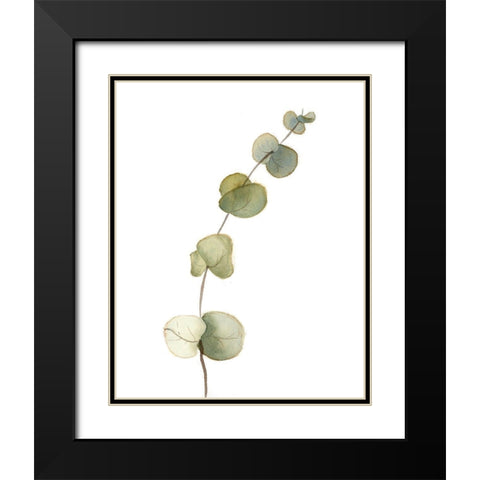 Botanical Black Modern Wood Framed Art Print with Double Matting by Shefranov, Olga
