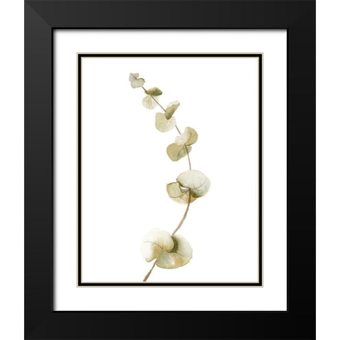 Botanical II Black Modern Wood Framed Art Print with Double Matting by Shefranov, Olga