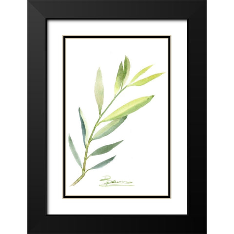 Botanical III Black Modern Wood Framed Art Print with Double Matting by Shefranov, Olga