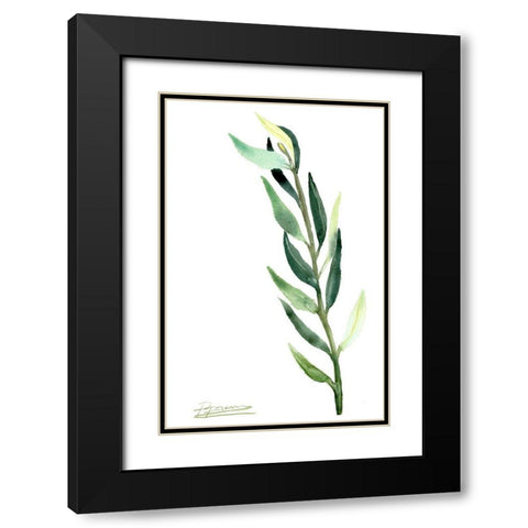 Botanical IV Black Modern Wood Framed Art Print with Double Matting by Shefranov, Olga