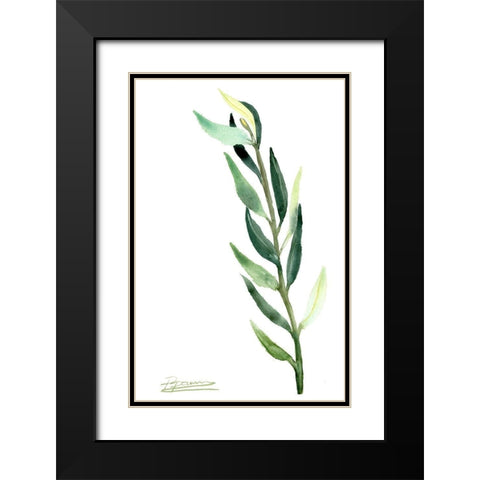 Botanical IV Black Modern Wood Framed Art Print with Double Matting by Shefranov, Olga