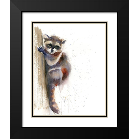 Raccoon II Black Modern Wood Framed Art Print with Double Matting by Shefranov, Olga