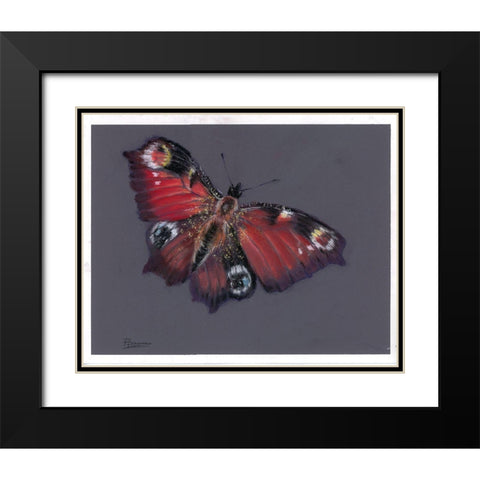 Soar Black Modern Wood Framed Art Print with Double Matting by Shefranov, Olga