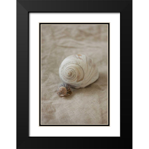 Shells I Black Modern Wood Framed Art Print with Double Matting by P.S. Art Studios