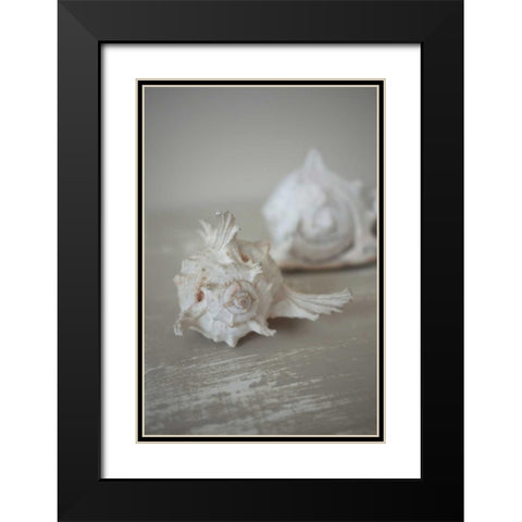 Shell Duo Black Modern Wood Framed Art Print with Double Matting by P.S. Art Studios