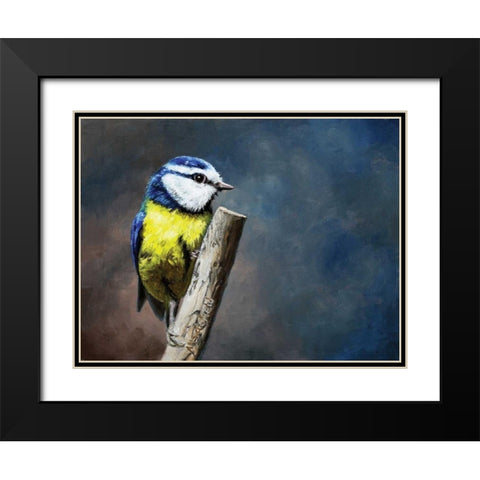 Overwatch Bird Black Modern Wood Framed Art Print with Double Matting by P.S. Art Studios
