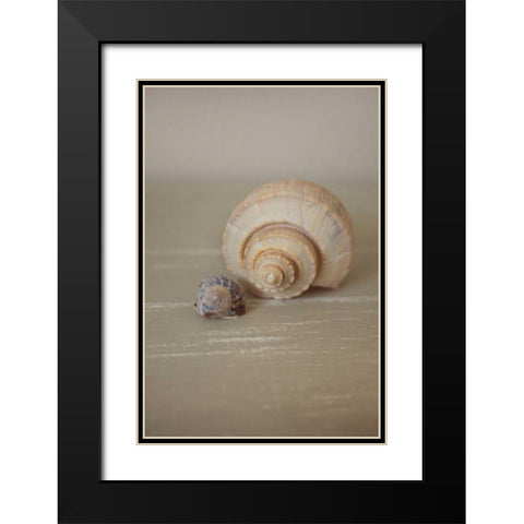 Shells on Beige III Black Modern Wood Framed Art Print with Double Matting by P.S. Art Studios