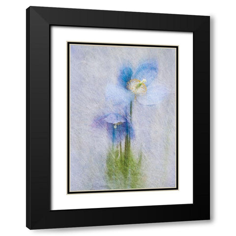 Violet Flowers Black Modern Wood Framed Art Print with Double Matting by P.S. Art