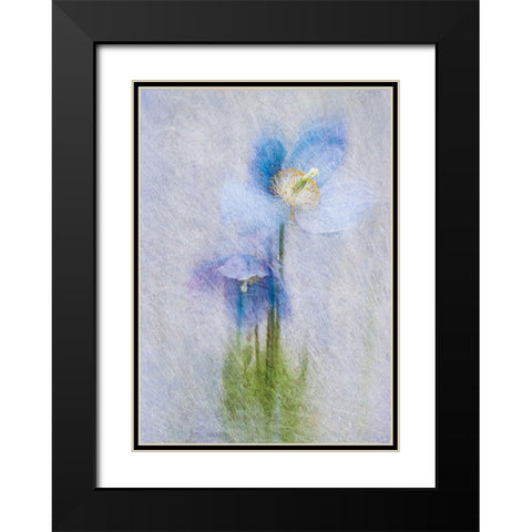 Violet Flowers Black Modern Wood Framed Art Print with Double Matting by P.S. Art