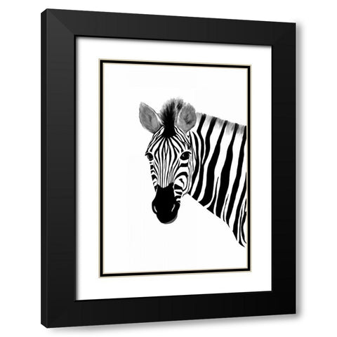 Zack a Zebra Black Modern Wood Framed Art Print with Double Matting by Murdock, Ramona