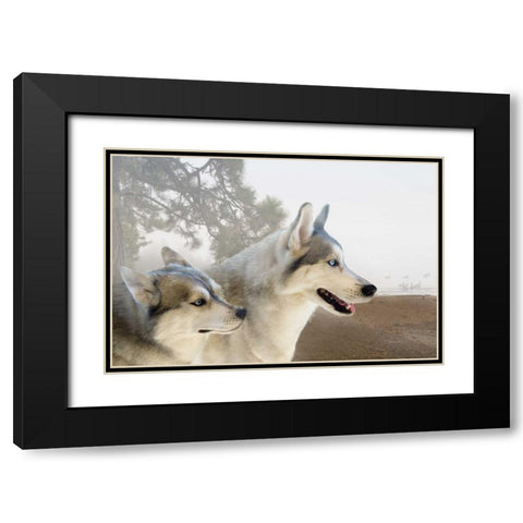 Ready for the Chase Black Modern Wood Framed Art Print with Double Matting by Murdock, Ramona