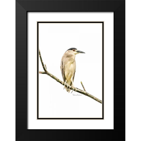 Amazon Heron Black Modern Wood Framed Art Print with Double Matting by Murdock, Ramona