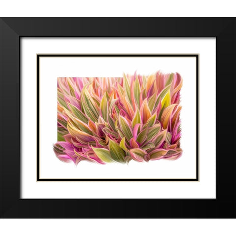 Snake Plant Black Modern Wood Framed Art Print with Double Matting by Murdock, Ramona