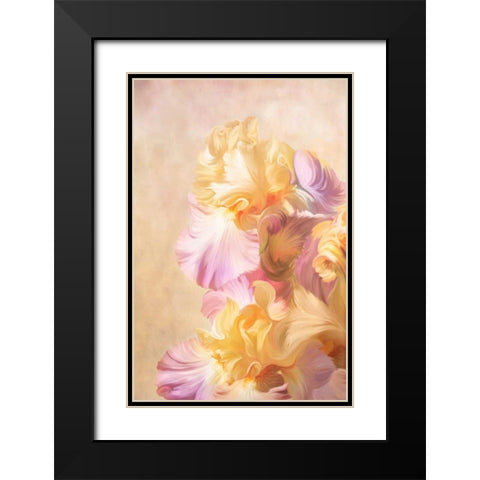 Lovely Iris Black Modern Wood Framed Art Print with Double Matting by Murdock, Ramona