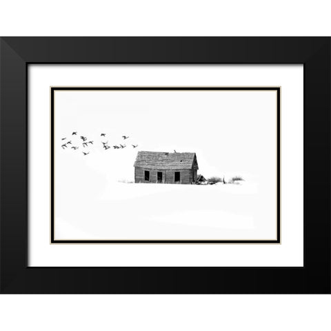 Lonesome But Peaceful II Black Modern Wood Framed Art Print with Double Matting by Murdock, Ramona