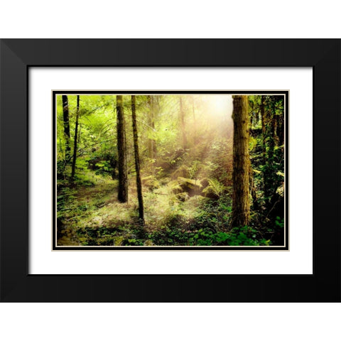 Sunshine from Above Black Modern Wood Framed Art Print with Double Matting by Murdock, Ramona