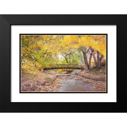 Teasdale Bridge Black Modern Wood Framed Art Print with Double Matting by Murdock, Ramona