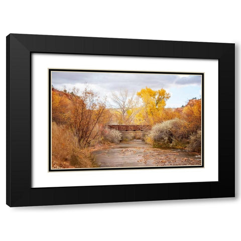 Bridge in Teasdale Black Modern Wood Framed Art Print with Double Matting by Murdock, Ramona