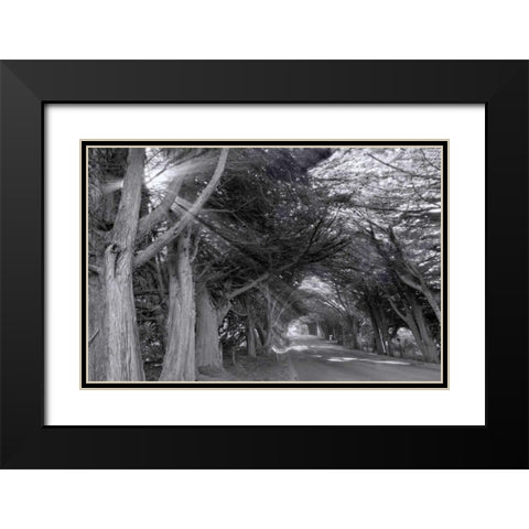 Spooky Black Modern Wood Framed Art Print with Double Matting by Murdock, Ramona