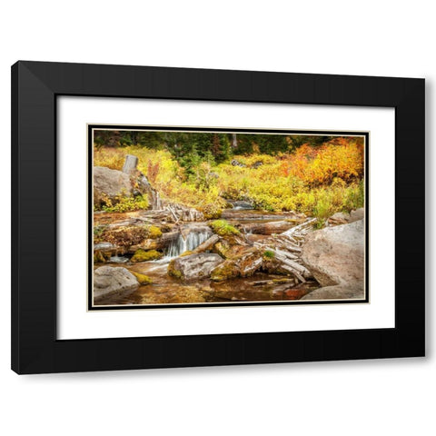 Alpine Waterfall Black Modern Wood Framed Art Print with Double Matting by Murdock, Ramona
