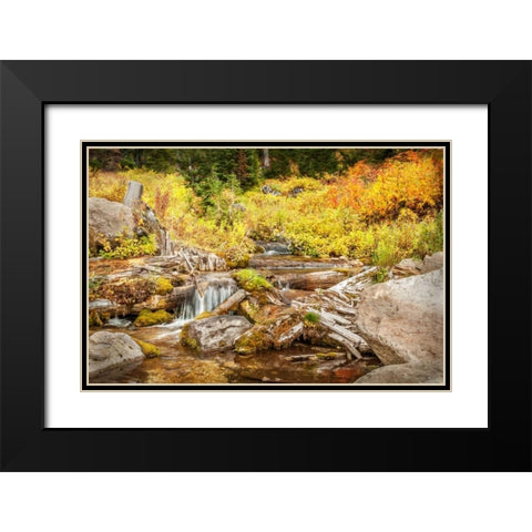 Alpine Waterfall Black Modern Wood Framed Art Print with Double Matting by Murdock, Ramona
