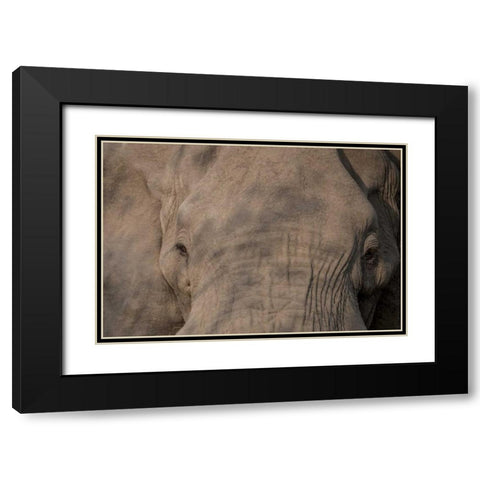 Nellie Phant Black Modern Wood Framed Art Print with Double Matting by Murdock, Ramona