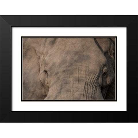 Nellie Phant Black Modern Wood Framed Art Print with Double Matting by Murdock, Ramona