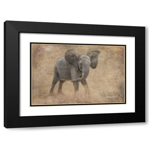 Young Buck Black Modern Wood Framed Art Print with Double Matting by Murdock, Ramona
