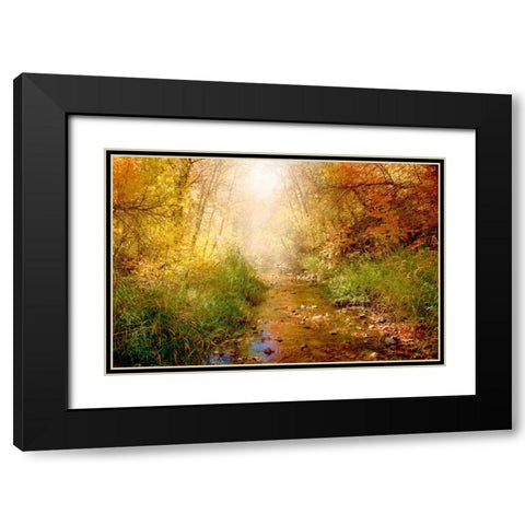 Stream of Light I Black Modern Wood Framed Art Print with Double Matting by Murdock, Ramona