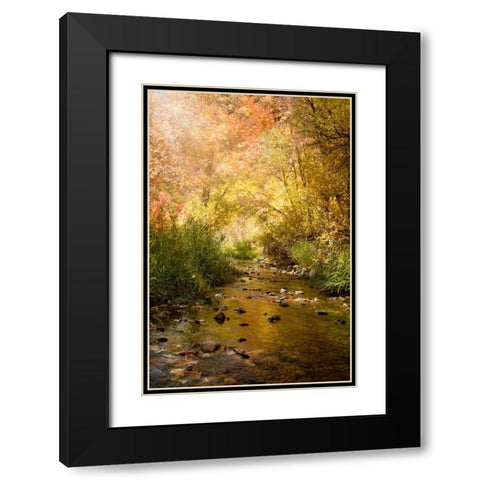 Streams of Light II Black Modern Wood Framed Art Print with Double Matting by Murdock, Ramona