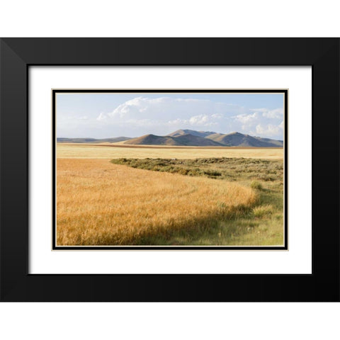 Harvest Black Modern Wood Framed Art Print with Double Matting by Murdock, Ramona