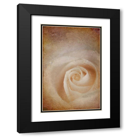 Faded Rose Black Modern Wood Framed Art Print with Double Matting by Murdock, Ramona