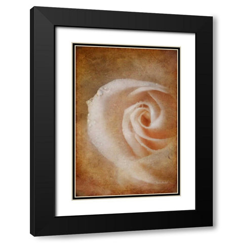 Essence of Rose Black Modern Wood Framed Art Print with Double Matting by Murdock, Ramona