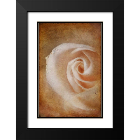 Essence of Rose Black Modern Wood Framed Art Print with Double Matting by Murdock, Ramona