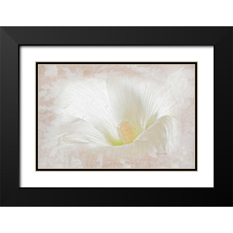 Hollyhock Illusion Black Modern Wood Framed Art Print with Double Matting by Murdock, Ramona