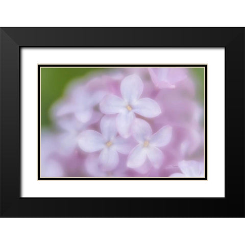 Soft Lilac Black Modern Wood Framed Art Print with Double Matting by Murdock, Ramona