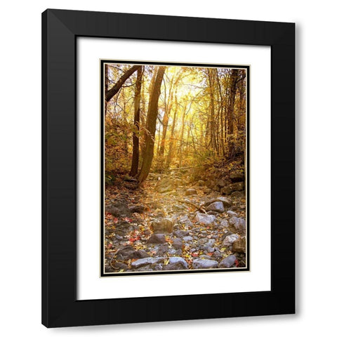 Solitude I Black Modern Wood Framed Art Print with Double Matting by Murdock, Ramona