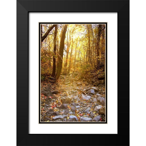 Solitude I Black Modern Wood Framed Art Print with Double Matting by Murdock, Ramona
