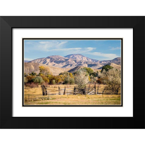 Old Fence Black Modern Wood Framed Art Print with Double Matting by Murdock, Ramona