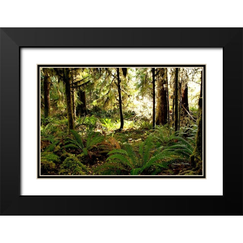 Morning Sunshine Black Modern Wood Framed Art Print with Double Matting by Murdock, Ramona
