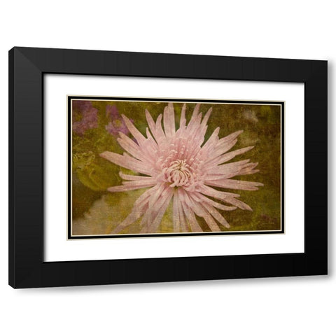 Heirloom Pink Black Modern Wood Framed Art Print with Double Matting by Murdock, Ramona
