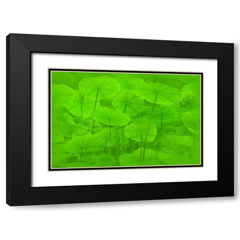 Spring Green I Black Modern Wood Framed Art Print with Double Matting by Murdock, Ramona