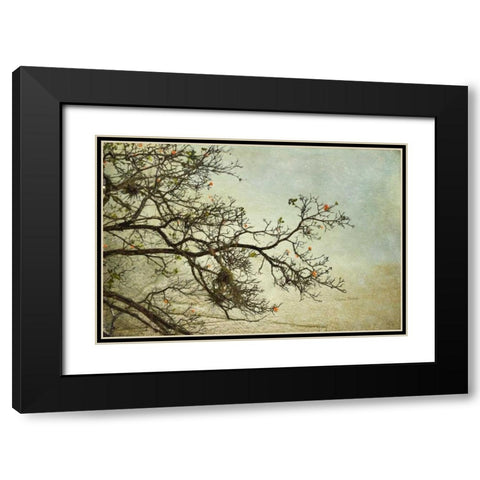 Branches Black Modern Wood Framed Art Print with Double Matting by Murdock, Ramona